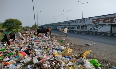 MP News Jabalpur : जबलपुर के द्वार मे ही नगर निगम ने कर दिया गंदगी