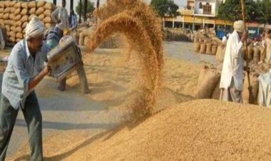 समर्थक मूल्य में धान के पंजीयन के लिए बनाए गए  68 केंद्र, 5 अक्टूबर तक किसान करा सकते है पंजीयन