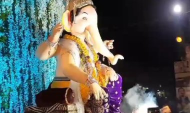 जबलपुर में धूम धाम से भगवान श्री गणेश की प्रतिमाओं का विसर्जन किया गया