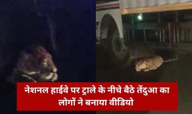 Khargone News : नेशनल हाईवे पर ट्राले के नीचे बैठे तेंदुआ का लोगों ने बनाया वीडियो, अब Social Media में Viral