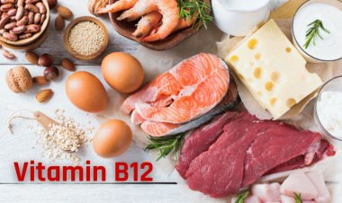 Well Health tips in hindi : क्यों जरूरी है शरीर के लिए Vitamin B12? , जनिए B12 कमी के लक्षण एवं पूर्ति के उपायें