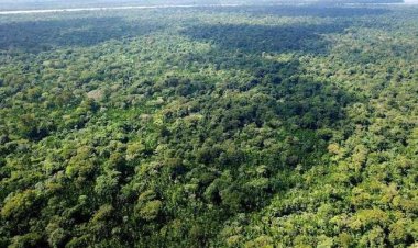 अग्निवीर की तर्ज पर मध्यप्रदेश में वनवीर की होंगी भर्ती, हर साल 500 से अधिक वनवीर की होगी नियुक्तियां