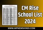 CM Rise School List 2024
