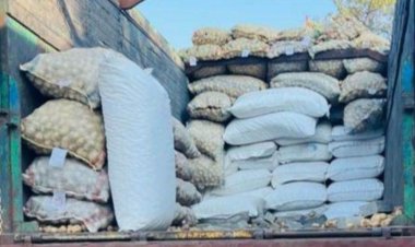 Neemuch News Today: ट्रक में आलू और केले के बीच परिवहन किया जा रहा था नशीला पदार्थ,  नारकोटिक्स ब्यूरो ने की कार्यवाही