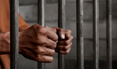 Indore News Today : स्कूलों और मंदिरों में सीरियल चोरी की घटना को अंजाम देने वाले आठ चोरो को पुलिस ने किया गिरफ्तार