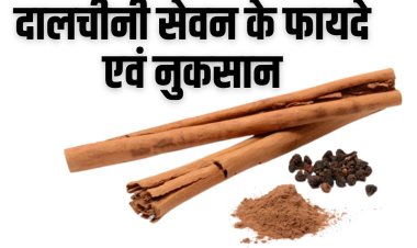 दालचीनी: दालचीनी सेवन के फायदे और नुकसान (Dalchini Ke Fayde Aur Nuksan in Hindi)