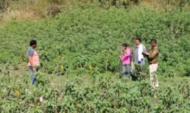 Dindori News Today : डिंडोरी में कंकाल मिलने से क्षेत्र में फैली सनसनी, जाँच में जुटी कोतवाली पुलिस