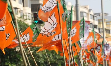 Lok Sabha Elections 2024 : भाजपा ने छह लोकसभा सीटों में पर्यवेक्षक को किया नियुक्त, जानें किसे मिली जिम्मेदारी 