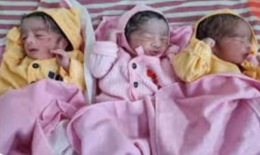 Singrauli News: एक महिला ने दिया तीन नवजात शिशुओं जन्म,जच्चा बच्चा चारो स्वस्थ