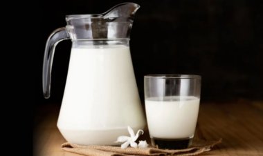 Wellhealthorganic Buffalo Milk | भैंस का दूध पीने के फायदें | Benefits of Drinking Buffalo Milk