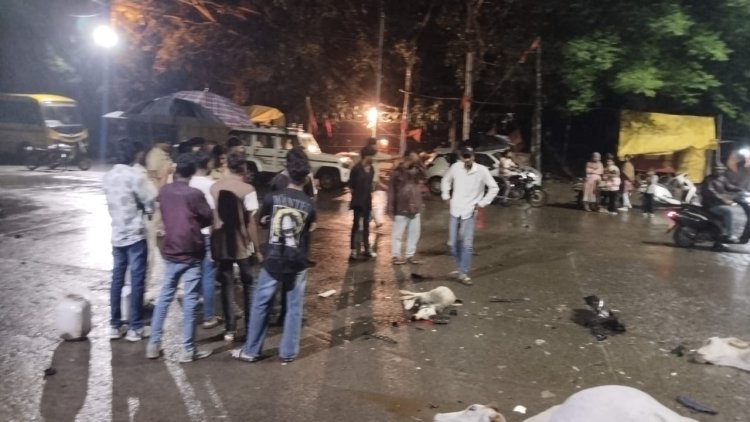  5 गौवंश को तेज रफ्तार कार ने मारी टक्कर, गौवंश की हुई मौत, CCTV आया सामने