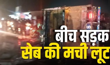 बीच सड़क पर 'सेब' की मची लूट.. जानिए पूरा मामला