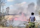 Seoni News : सिवनी में आग ने ली किसानों की कड़ी मेहनत की परीक्षा, कई एकड़ गेहूं जलकर राख