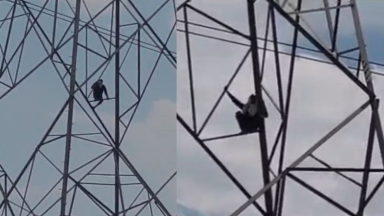 जब तक शादी का वादा नहीं… तब तक नहीं उतरूंगा! हाईटेंशन पोल पर चढ़ा आशिक