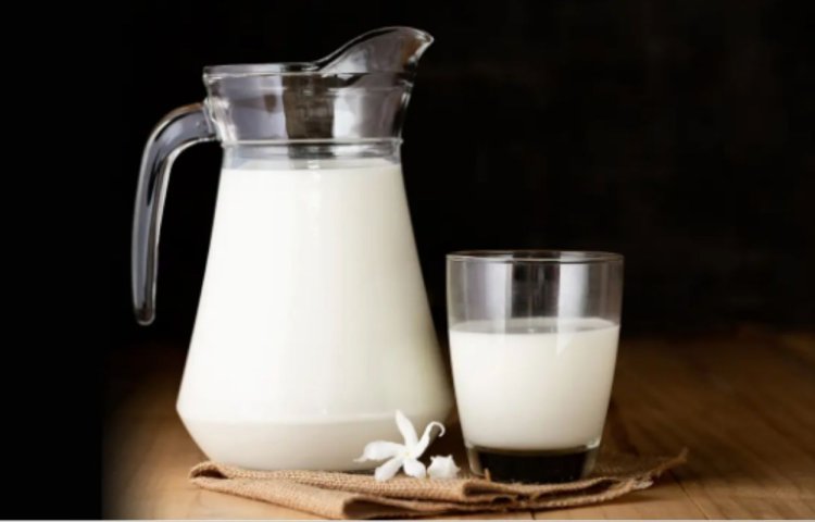 Wellhealthorganic Buffalo Milk | भैंस का दूध पीने के फायदें | Benefits of Drinking Buffalo Milk
