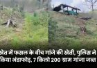 Jabalpur News: खेत में फसल के बीच गांजे की खेती, पुलिस ने किया भंडाफोड़, करीब 7 किलो 200 ग्राम गांजा जब्त